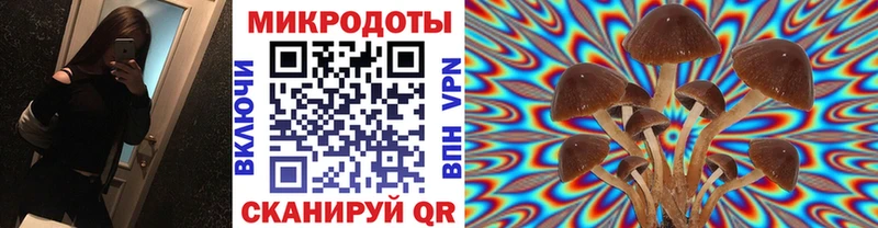 Галлюциногенные грибы Cubensis  Электрогорск 